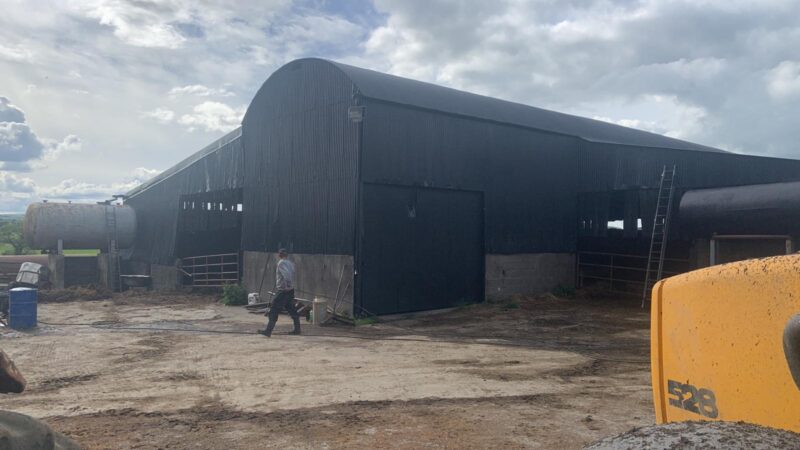 Cleaning and Restoration Specialists